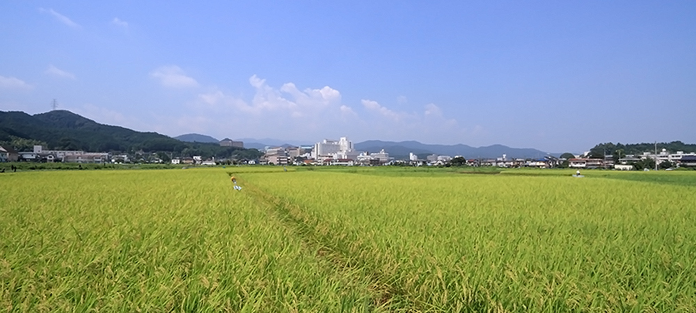 あらゆる年齢の患さんの幸せのために満足いただけるてんかん診療を